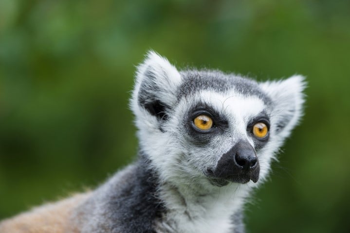 Woodside Wildlife Park Lincolnshire