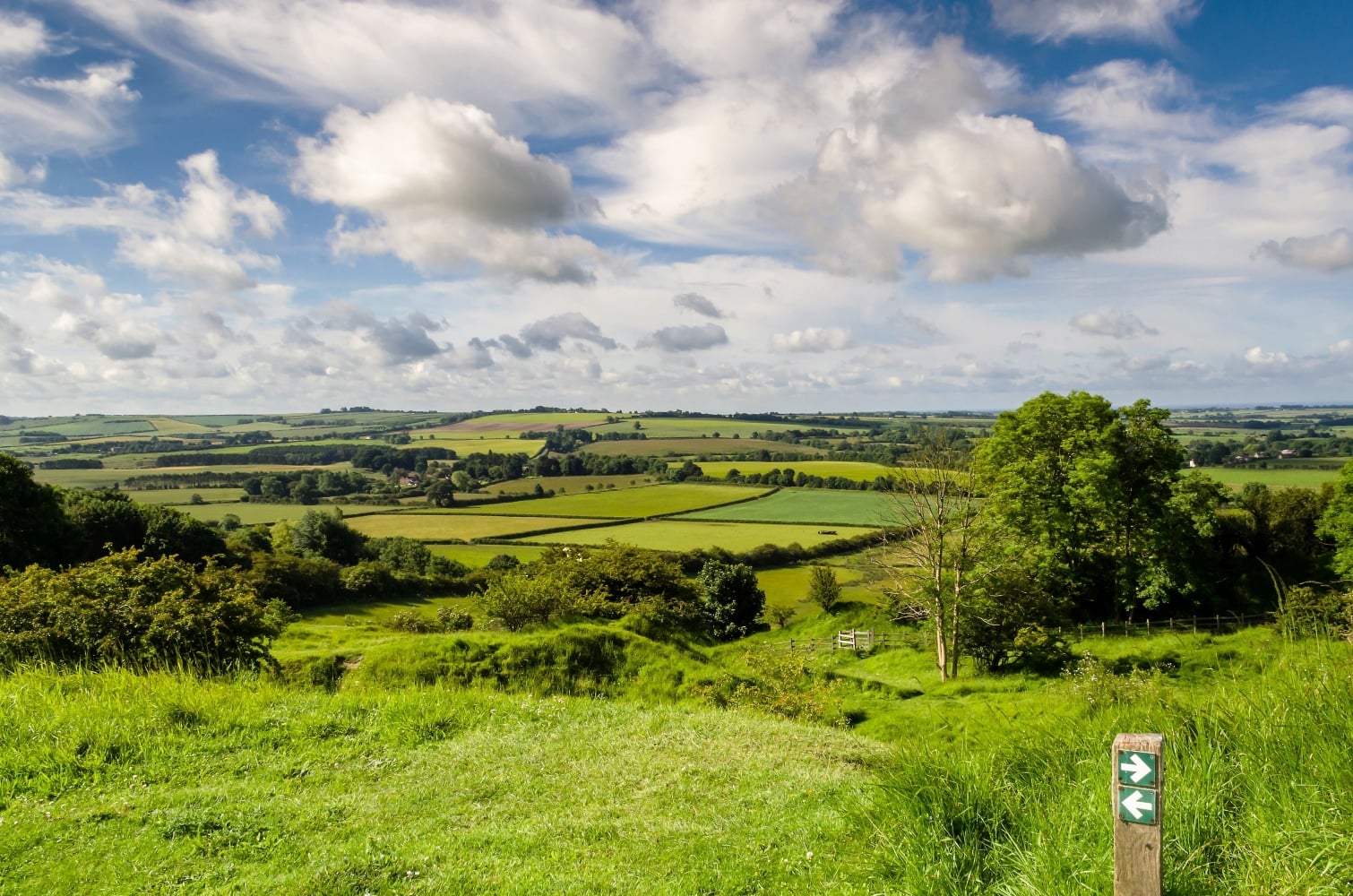 A view of the rolling hills of the Lincolnshire Wolds National Landscape.