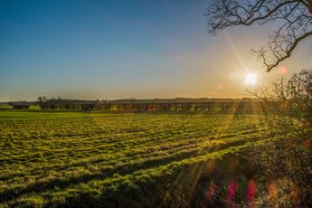 The sunrise over a large green field in Lincolnshire, with woodland in the distance.