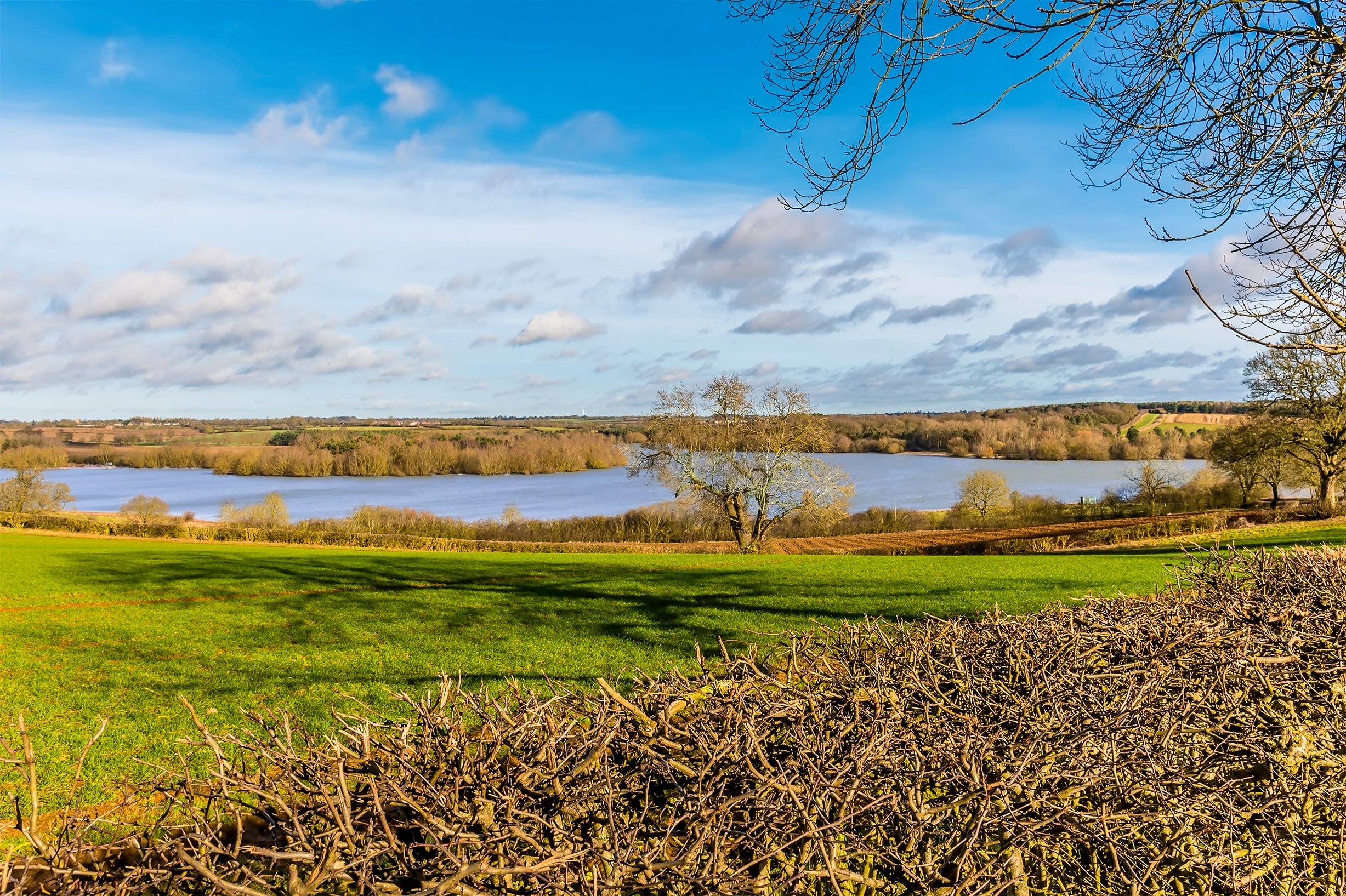 a grassy area next to a body of water