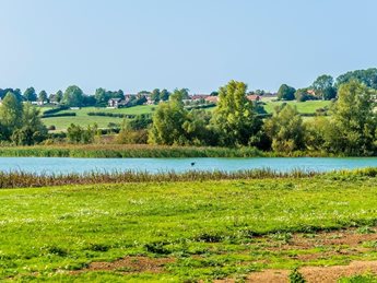 a lake surrounded by grass and trees