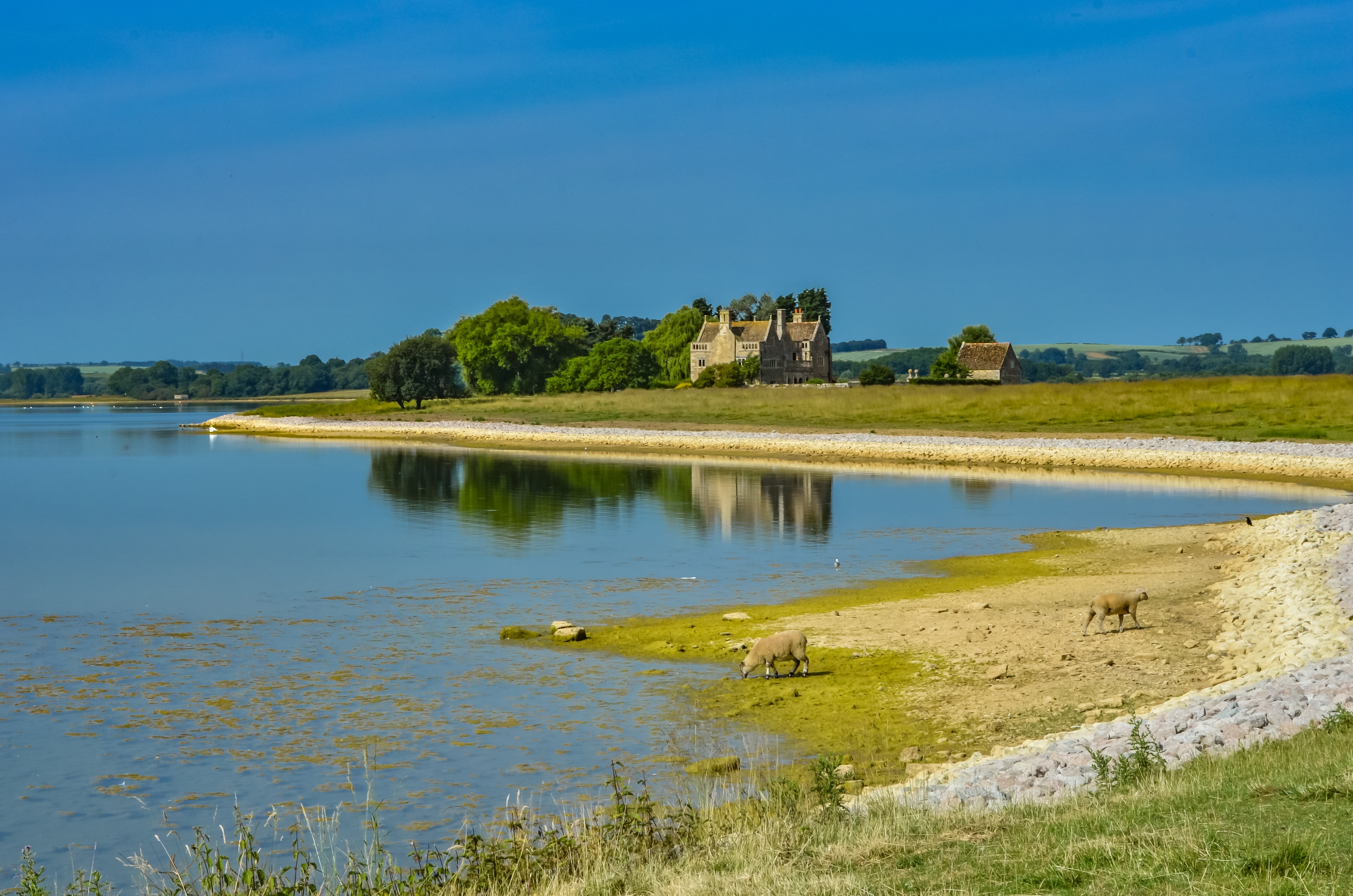 a body of water with a building in the background