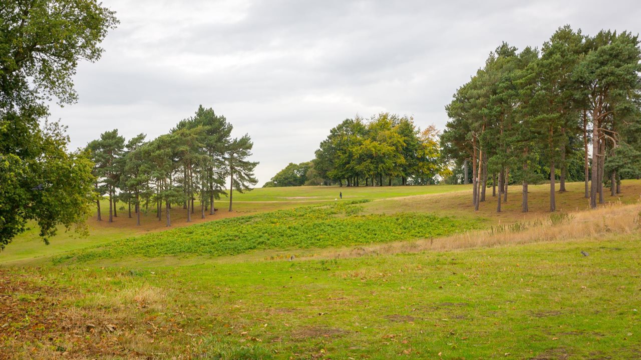 Retirement Homes for rental in Bedfordshire Clemens Place McCarthy
