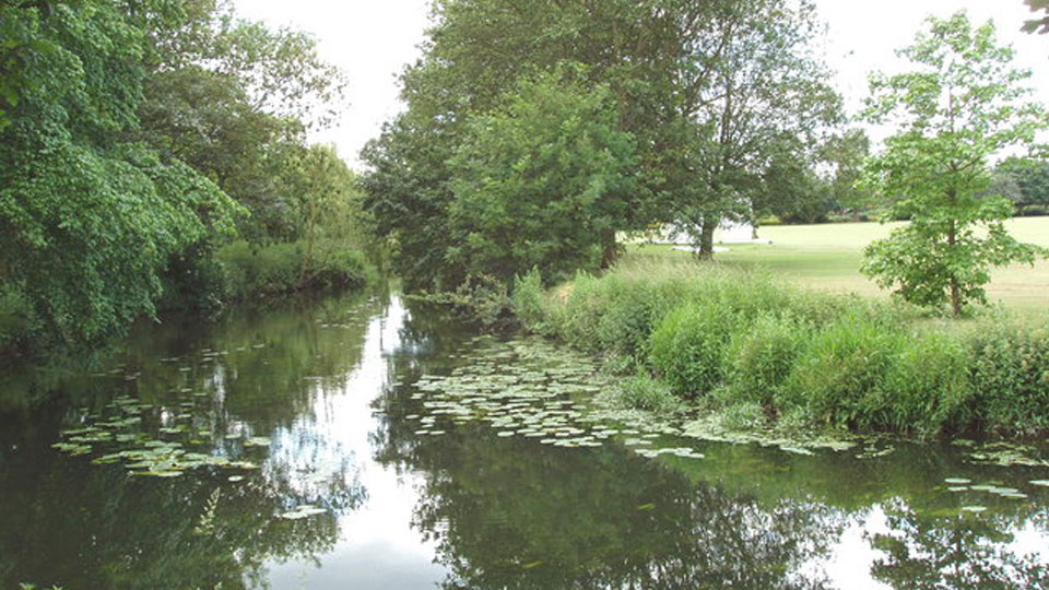 a river with trees around it