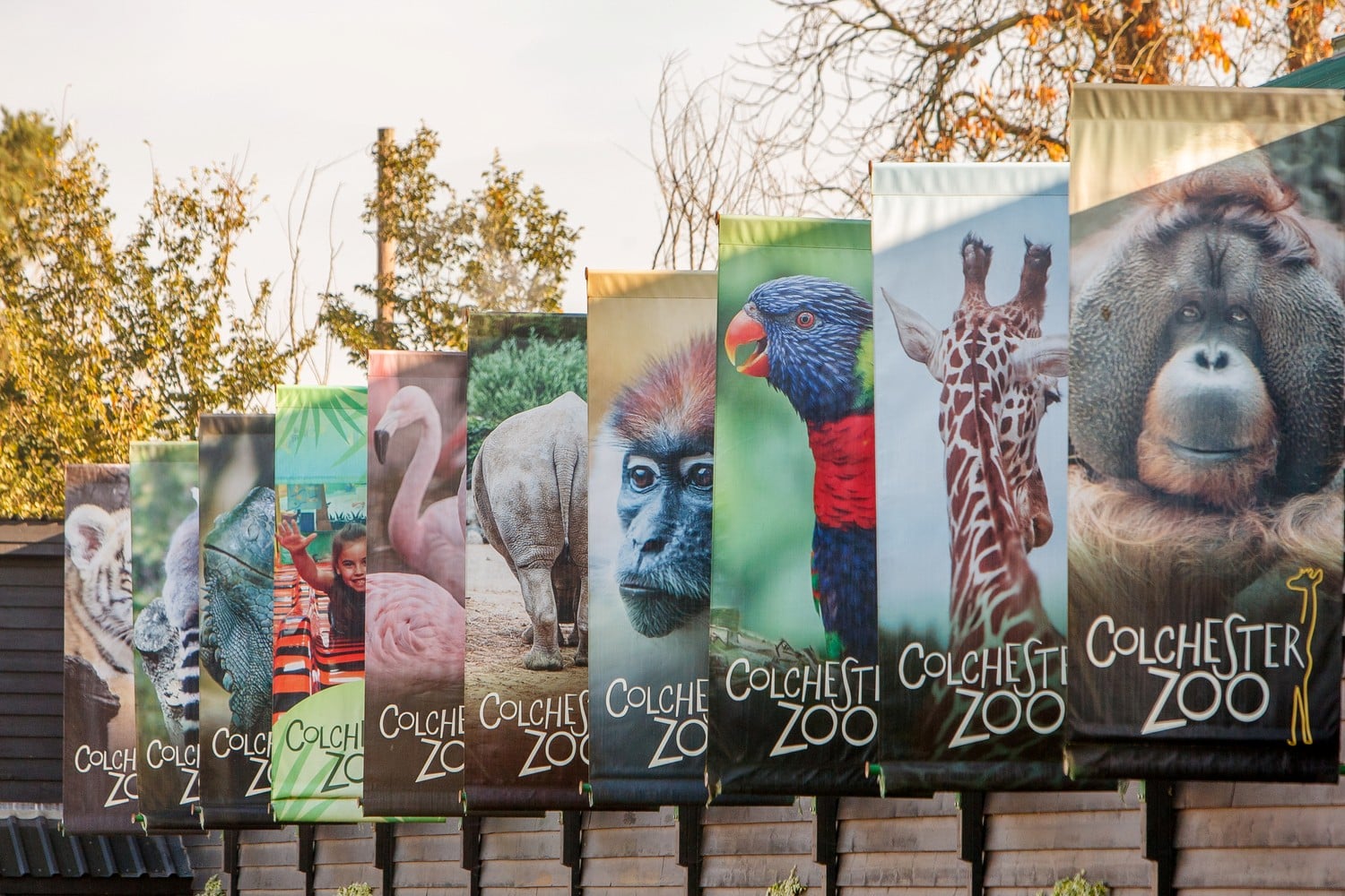 Multiple banners featuring animals at the entrance to Colchester Zoo.