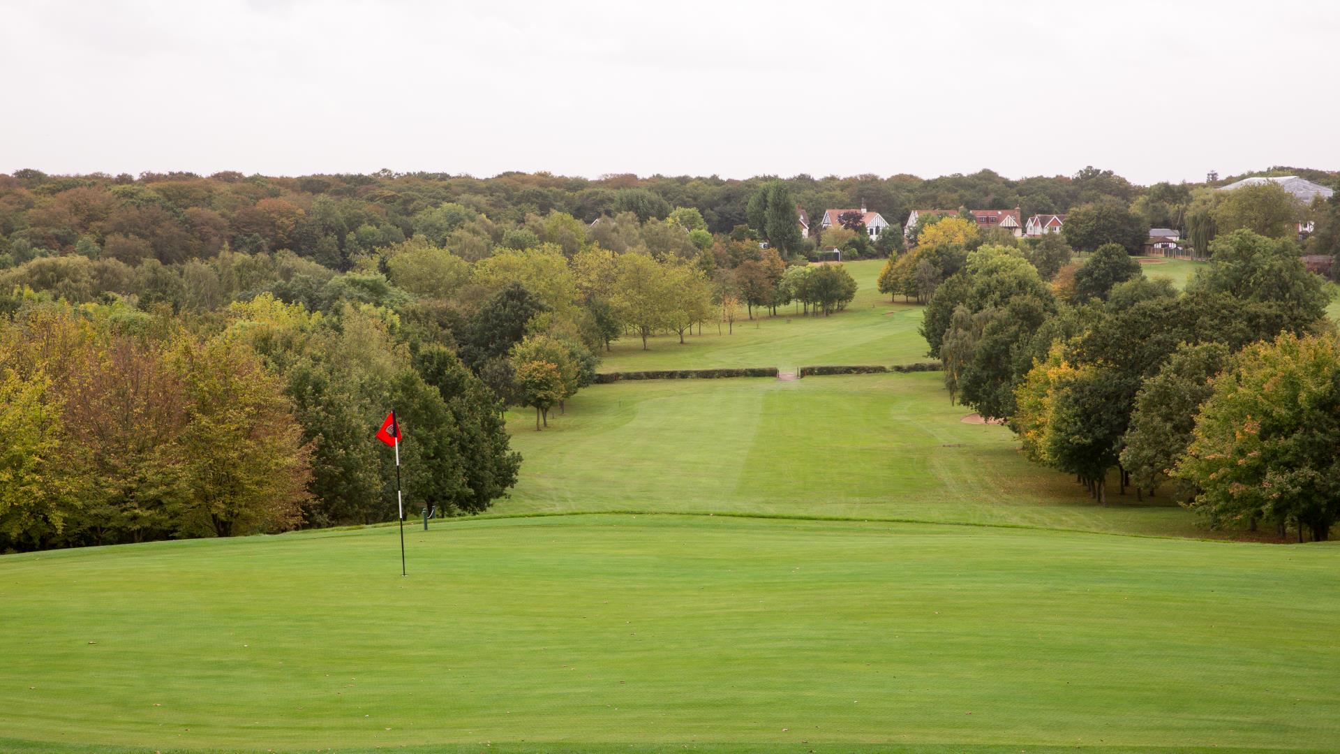 a golf course with trees and houses in the background