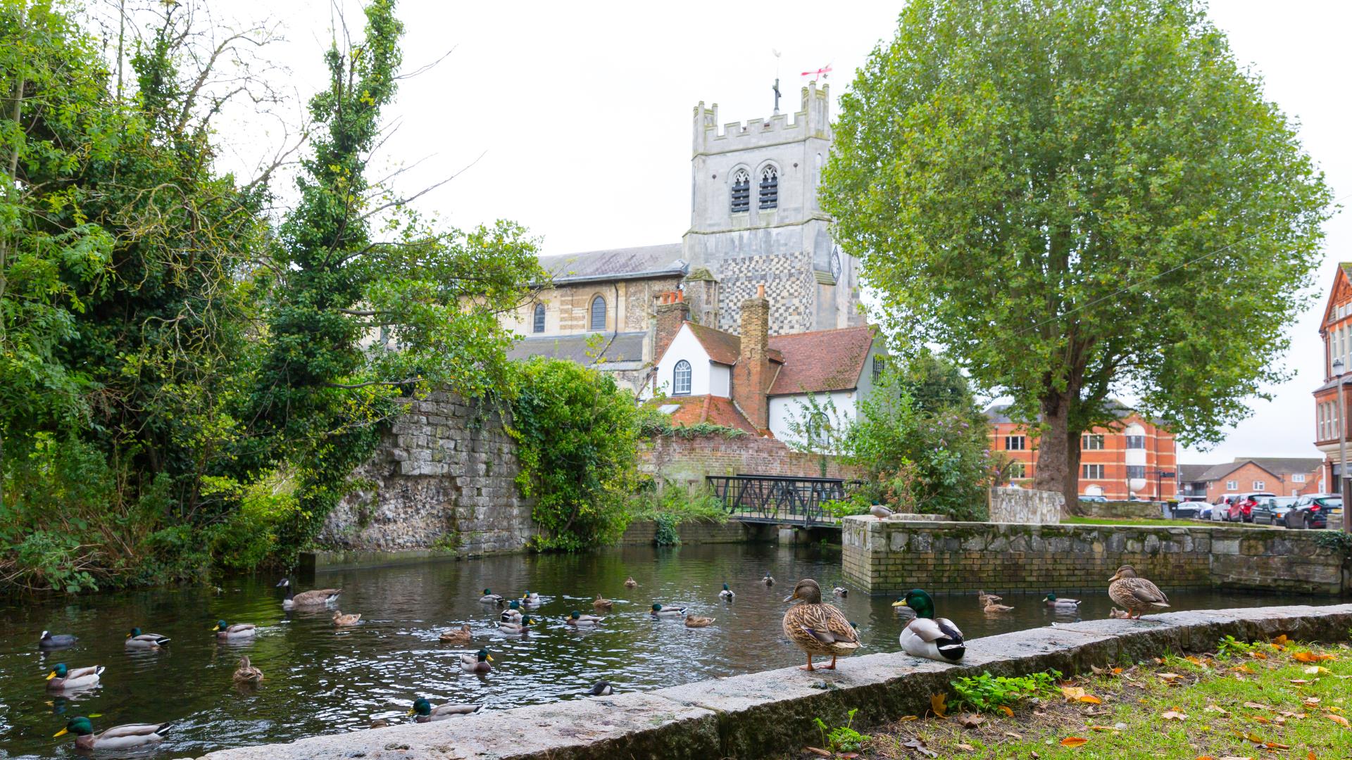 a river with a bridge and buildings in the background