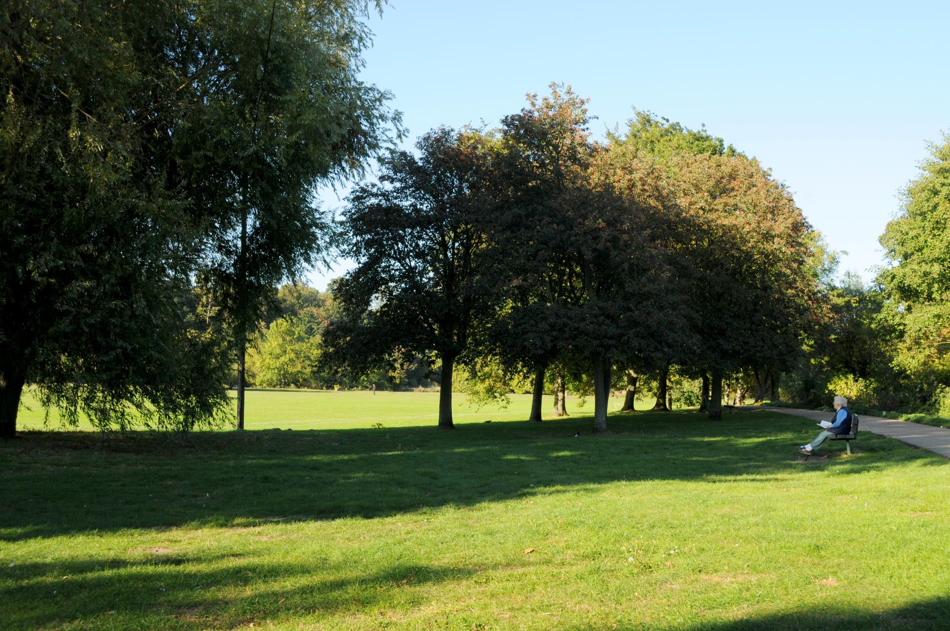 a person walking in a park
