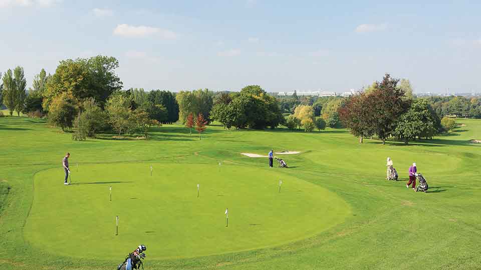 a group of people playing golf
