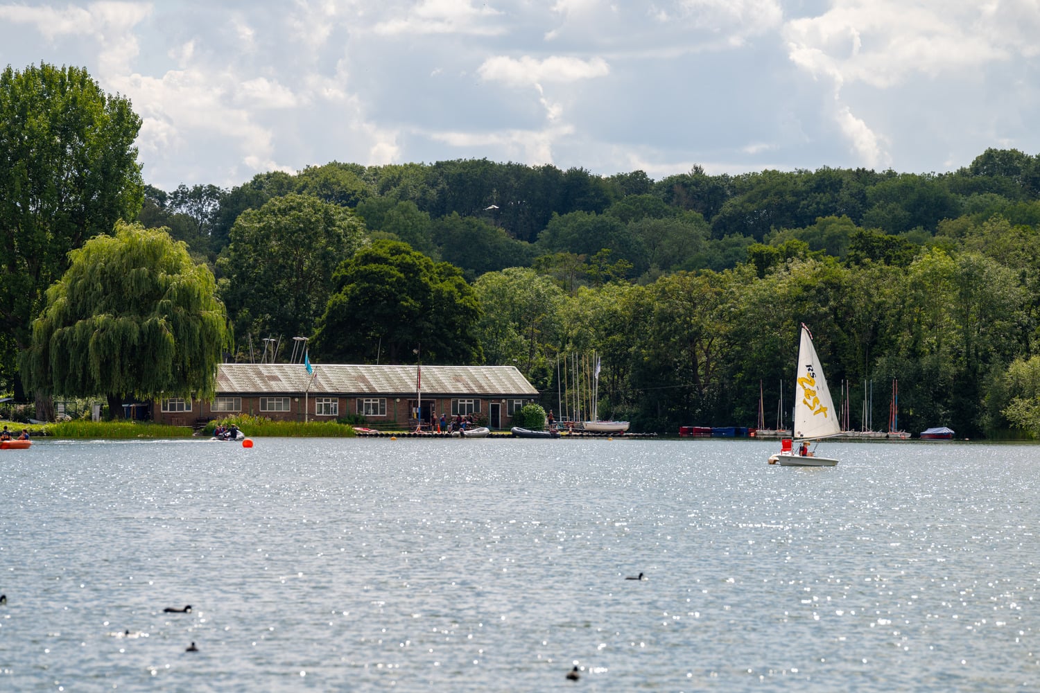 A small boat sails towards the shore on a large lake in Rickmansworth.