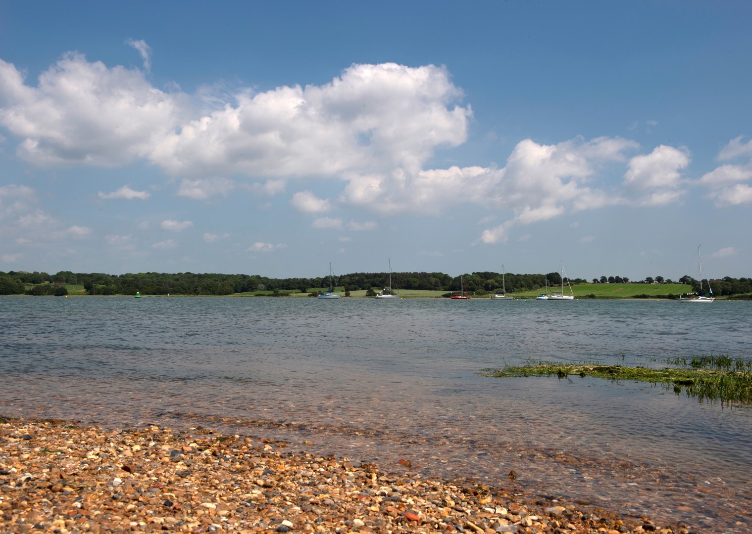 Ipswich Local Area
