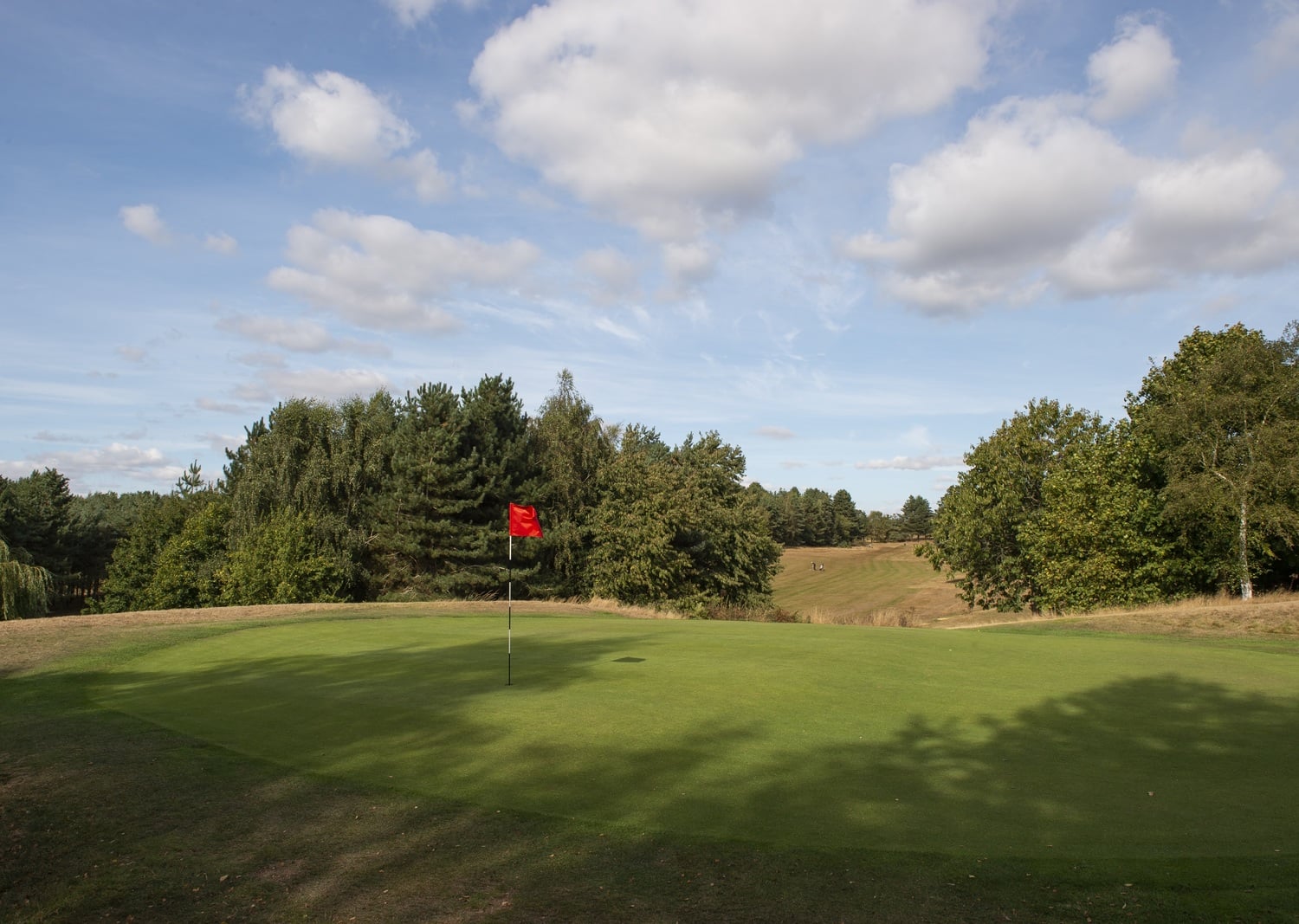 A golf green with flag in the ground on a sunny day.
