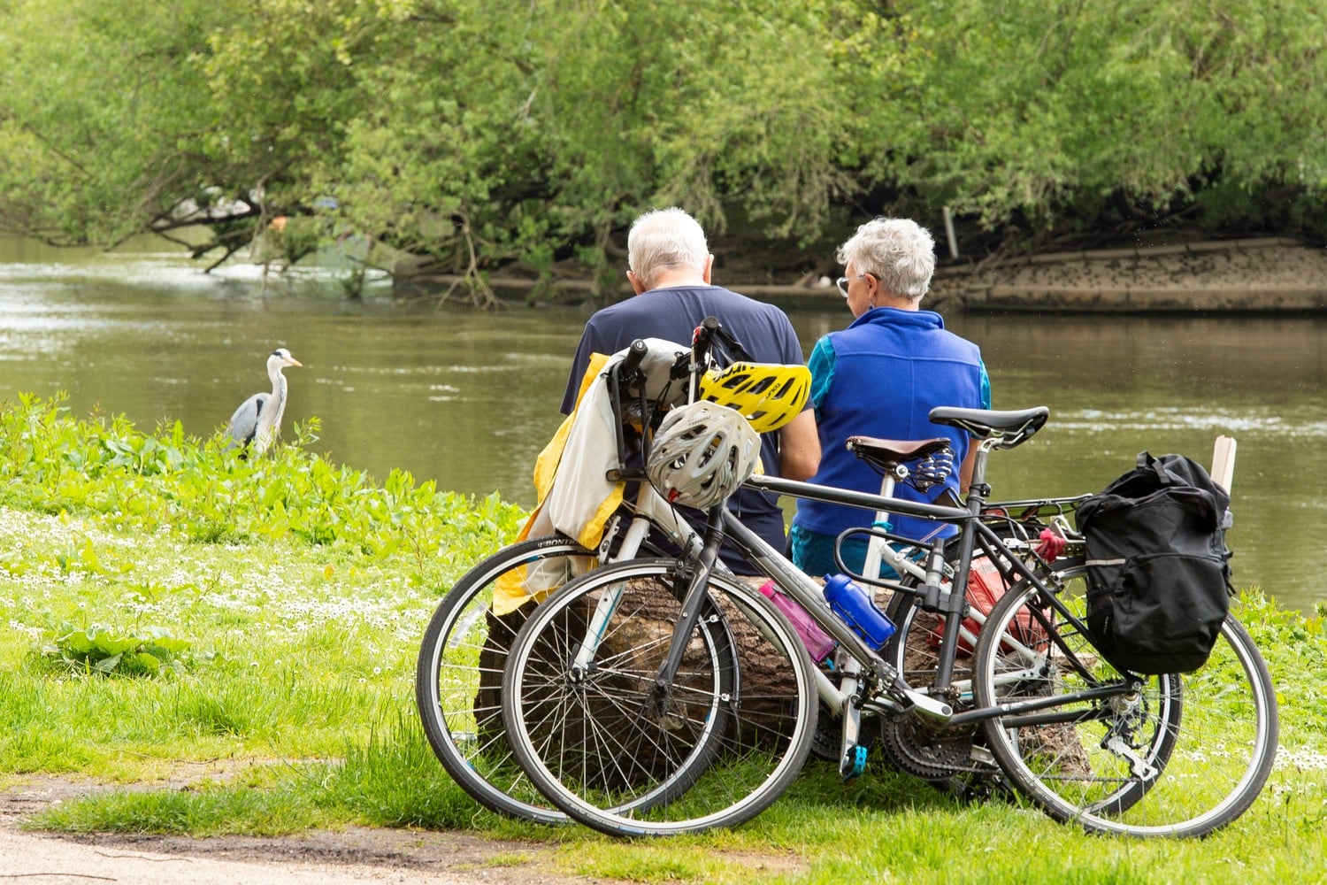 Two retired people rest on a log after riding their bicycles to a riverbank populated by birds.