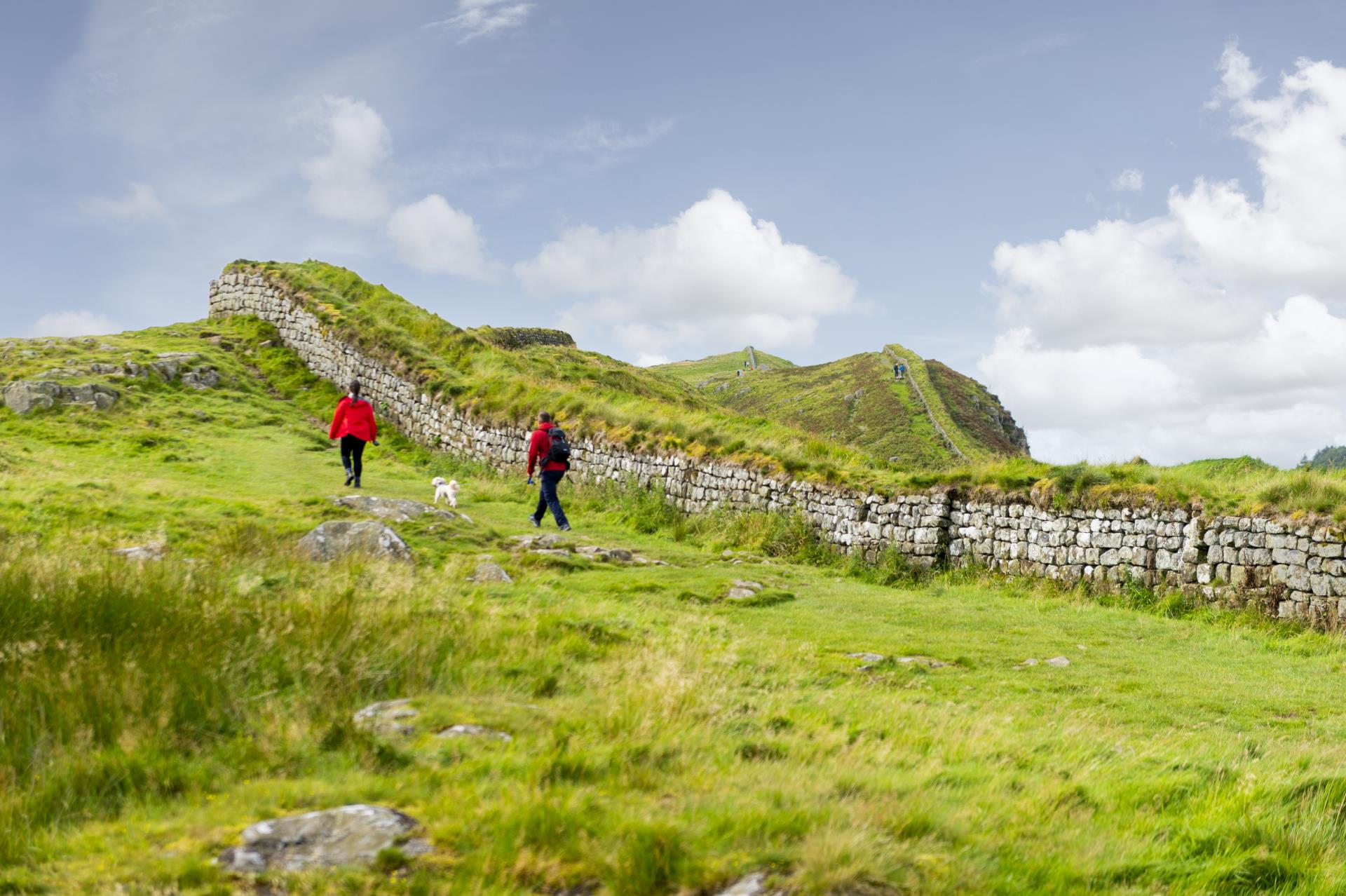 a group of people walking on a path in a grassy area