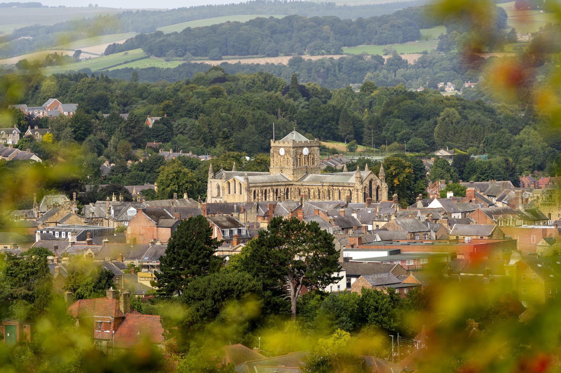 a small town surrounded by trees