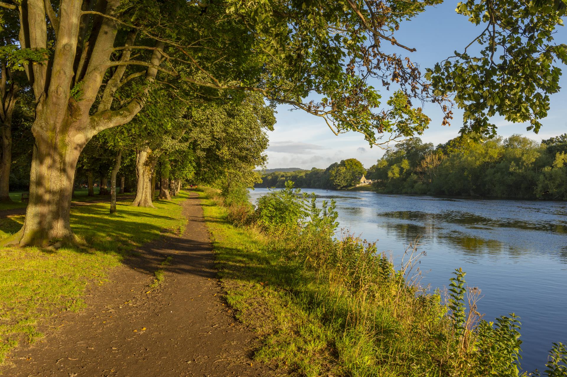 a path by a lake