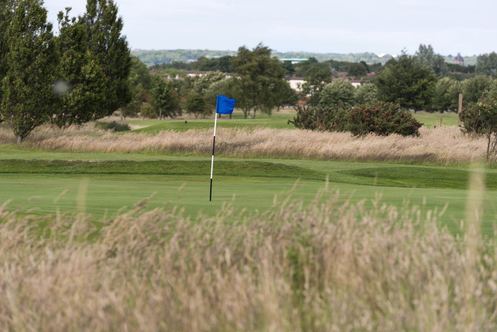 a flag on a pole in a field