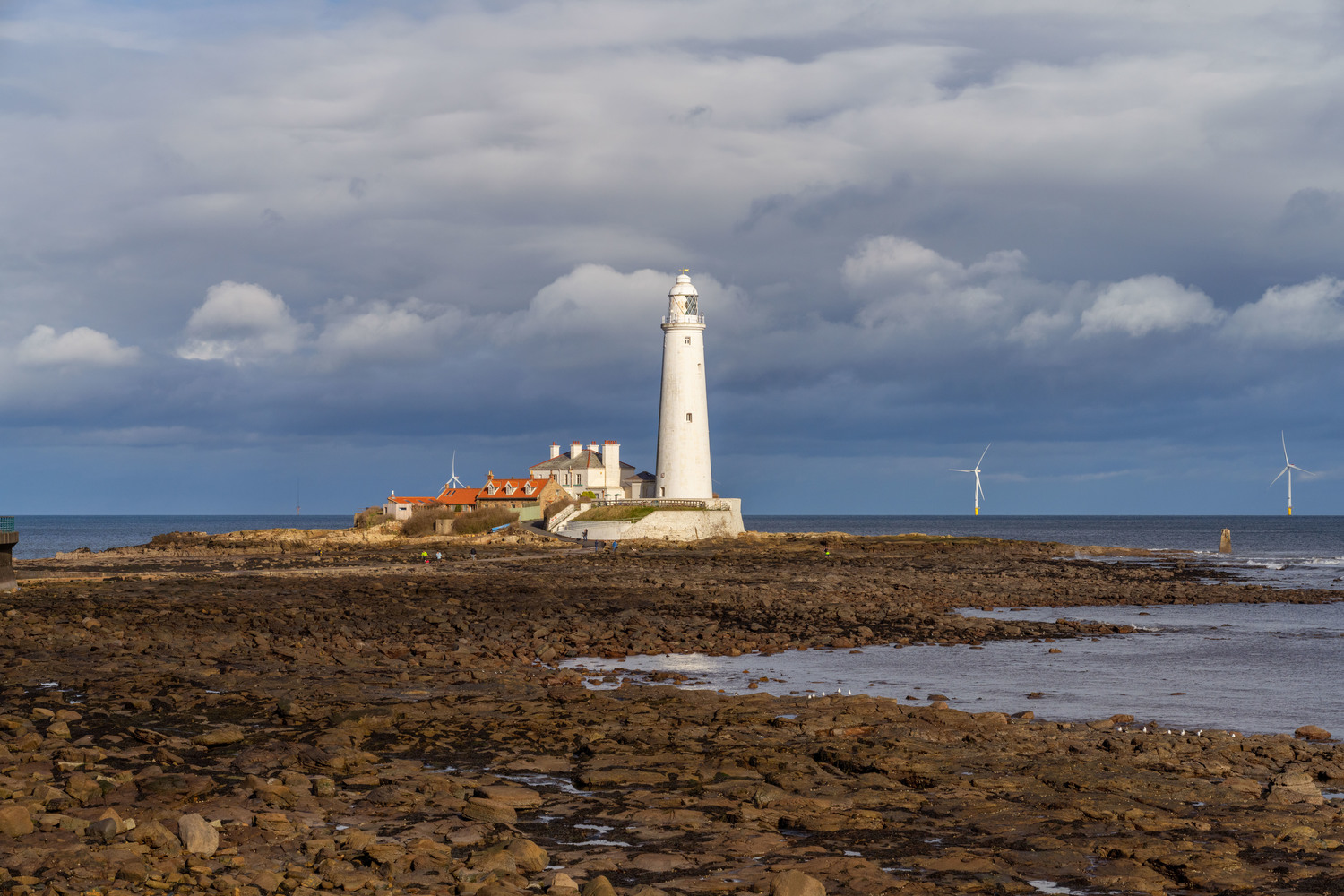 St Mary's Island Nature Reserve in Whitley Bay.