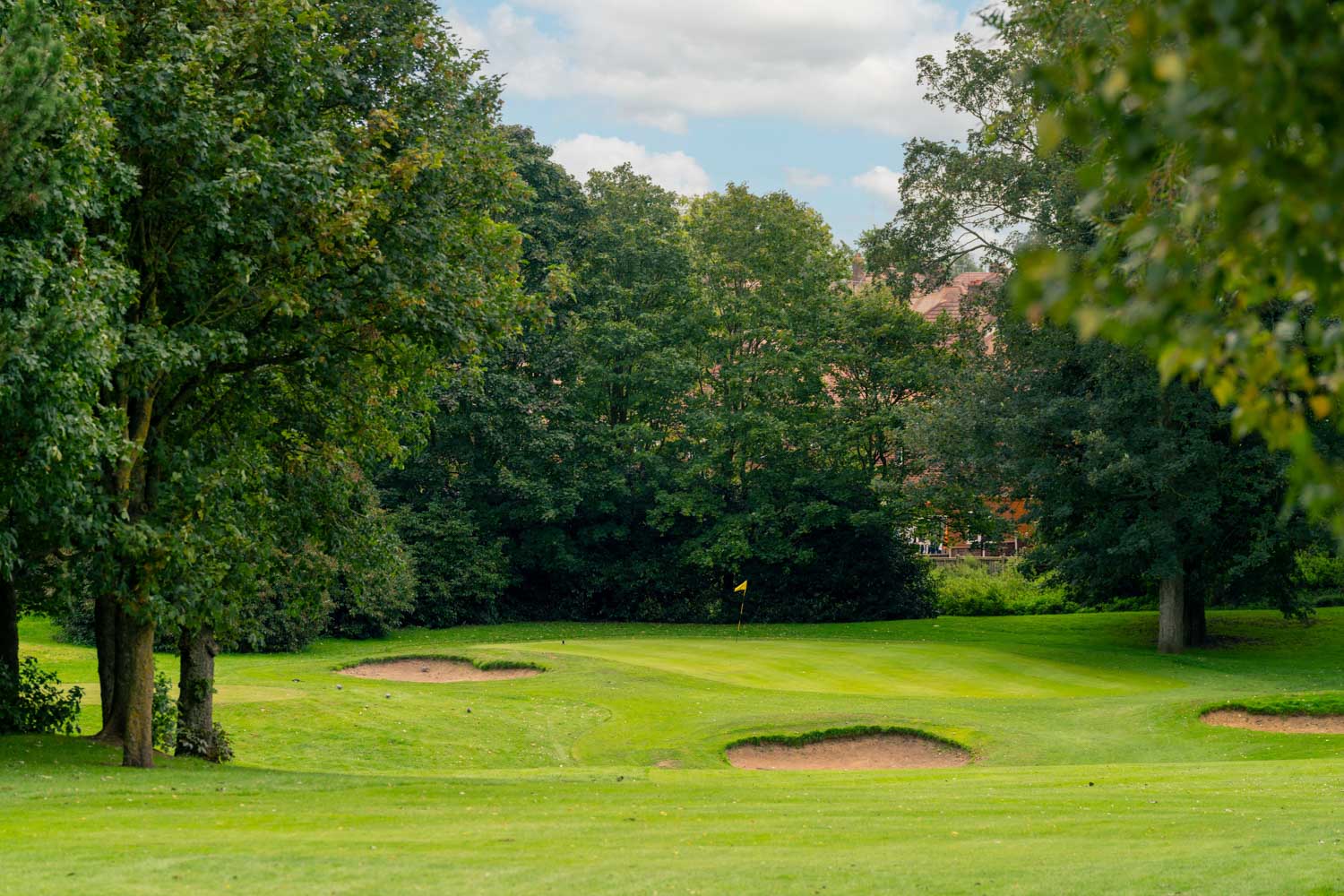 a golf course with trees
