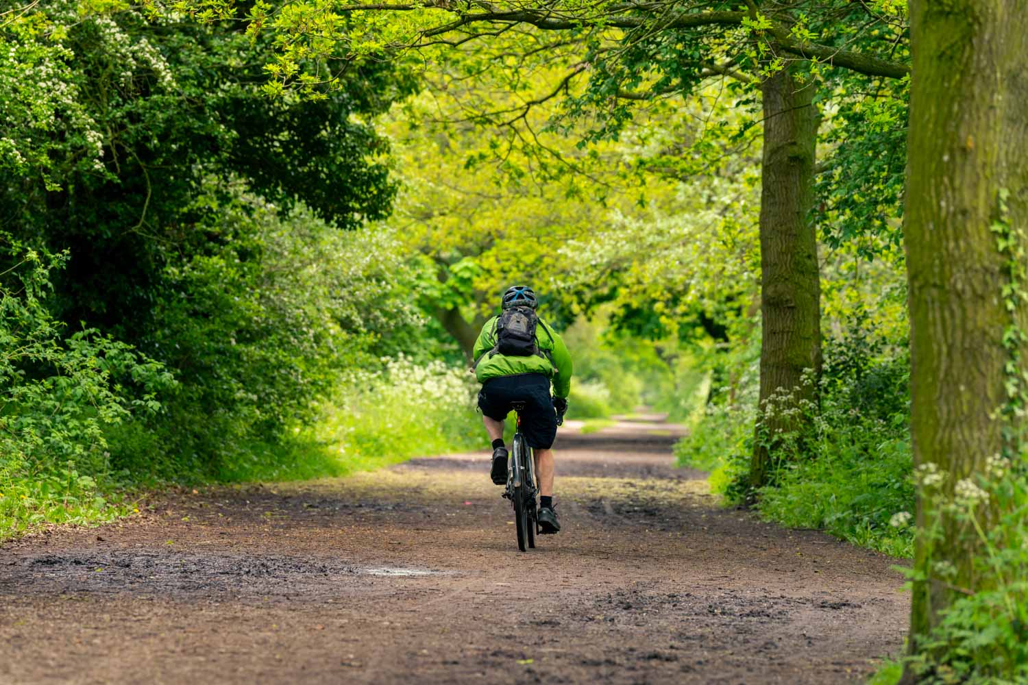 Wirral Country Park