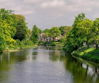 a body of water with trees and grass around it