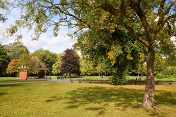 Cale Park in Davenport featuring mature trees, seating and level footpaths.