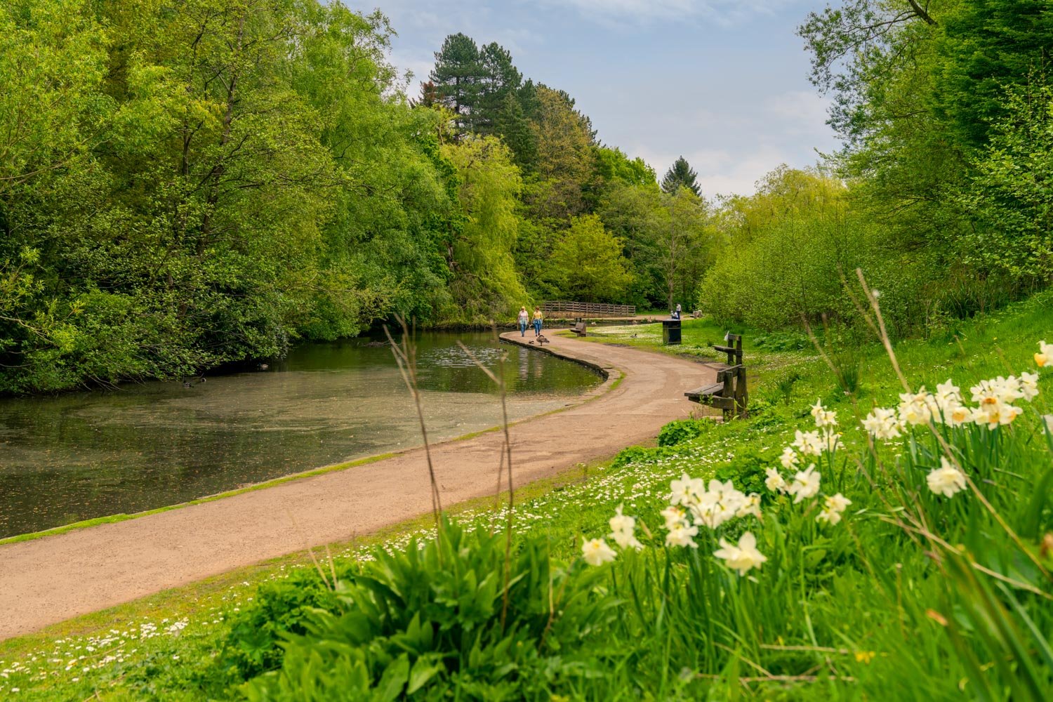 a path with a body of water surrounded by trees and grass