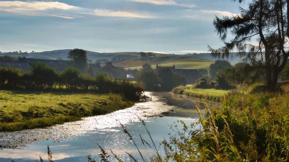 a river running through a grassy field
