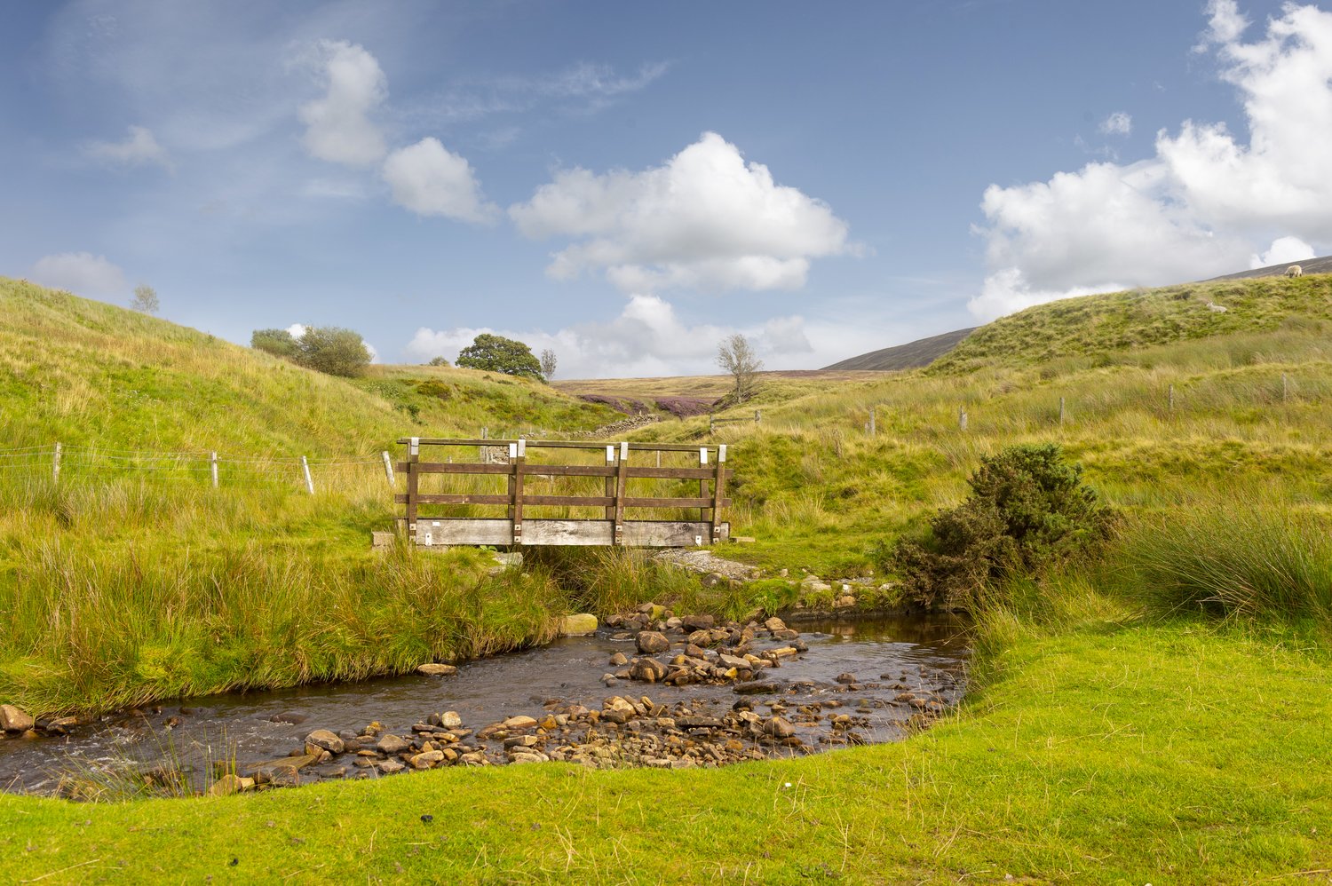 Garstang is a welcoming market town situated perfectly between the Forest of Bowland and the North West coastline.
