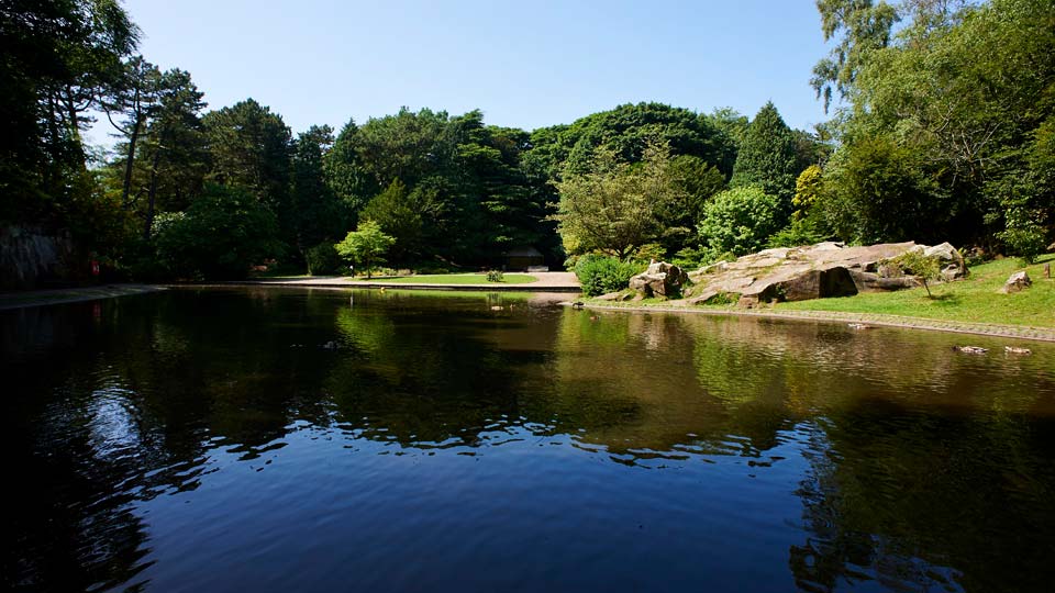 A lake in Williamson Park with trees around it.