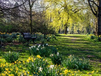a bench in a park