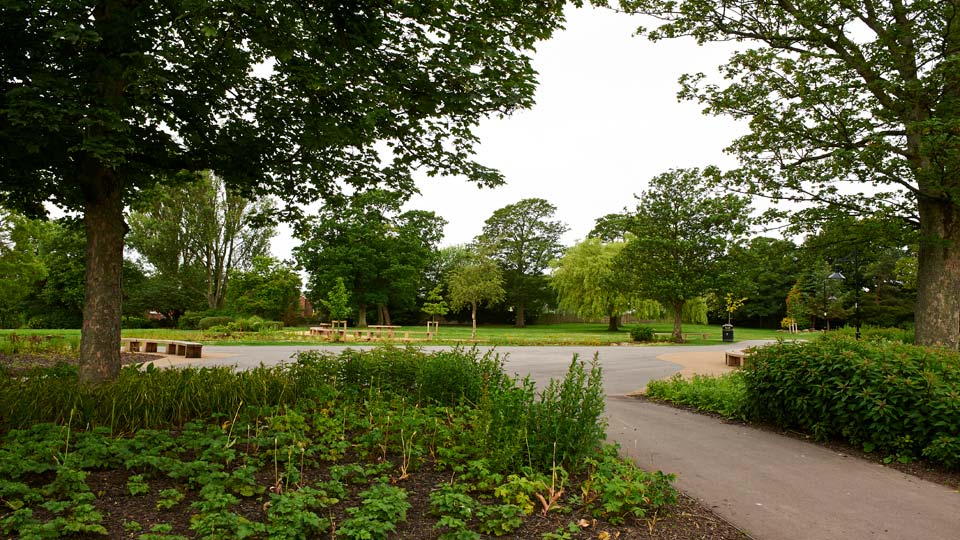 a park with trees and grass