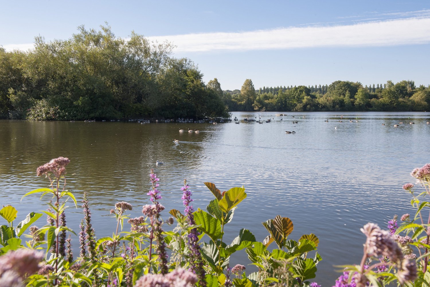 The Nature Discovery Centre and cafe is located beside Thatcham Lake