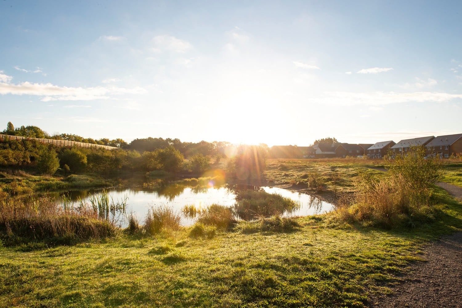 A body of water in Kentwood Meadow, Wokingham.