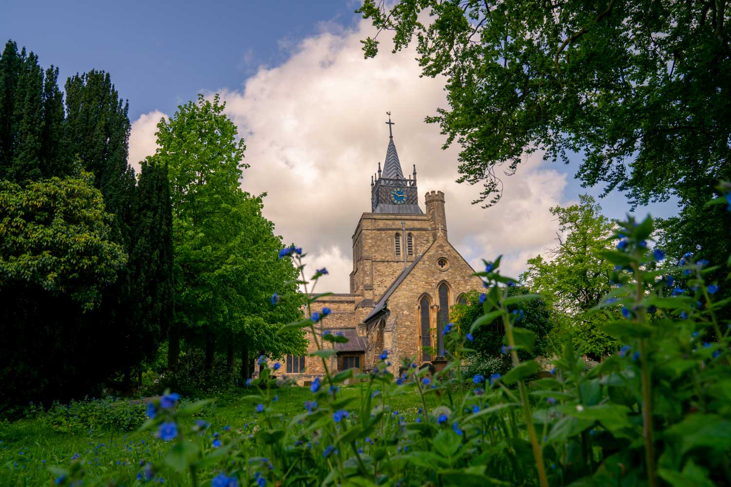 a building with a tower and trees