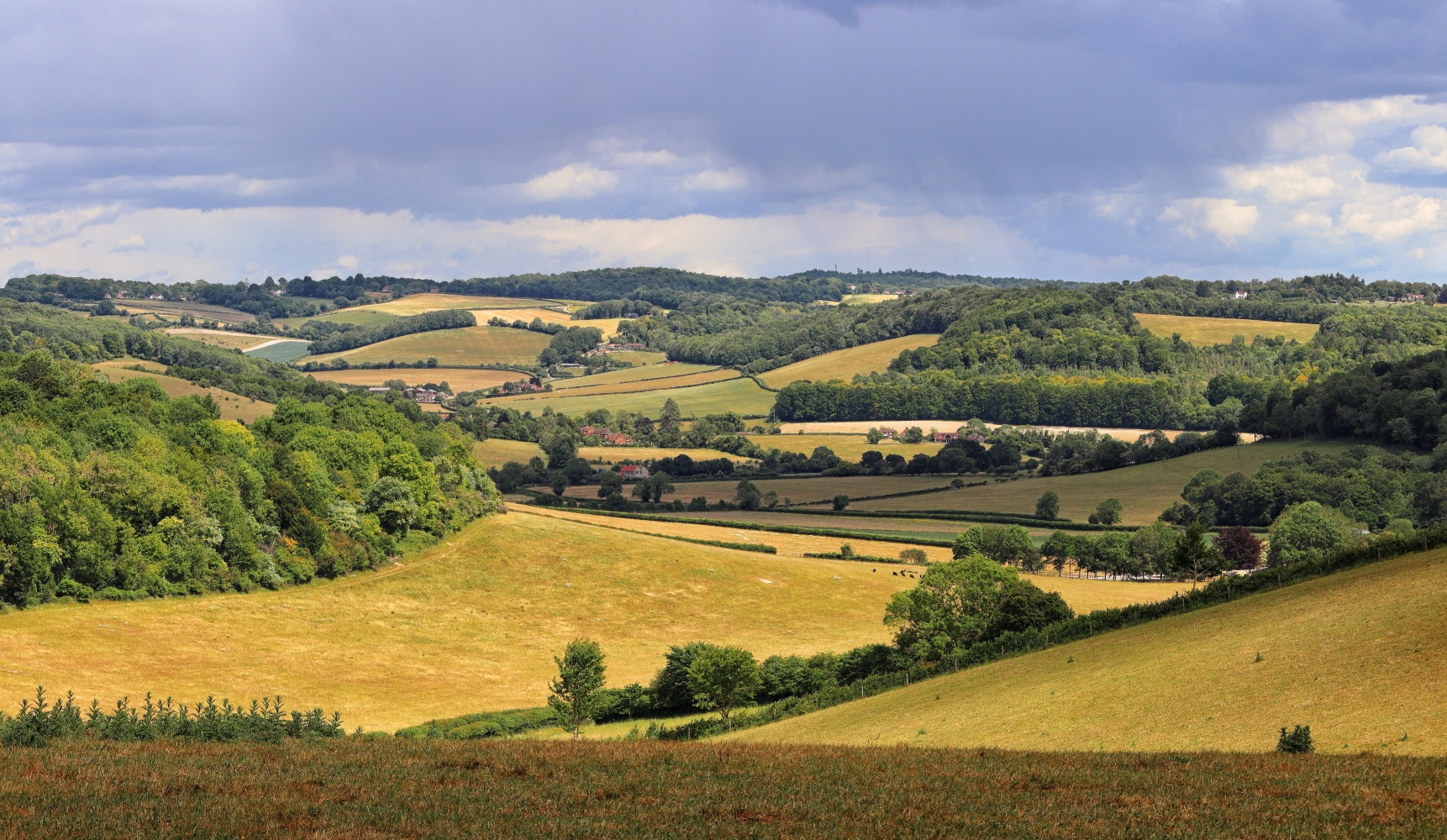 Rolling hills and woodland in the Chilterns National Landscape.