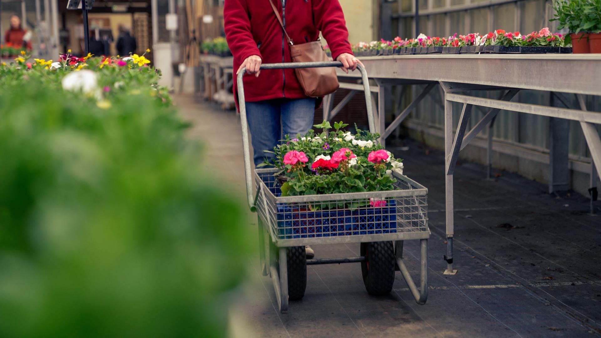 a person pushing a cart with flowers