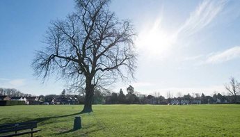 Alton - Retirement apartments for sale and rent - McCarthy Stone