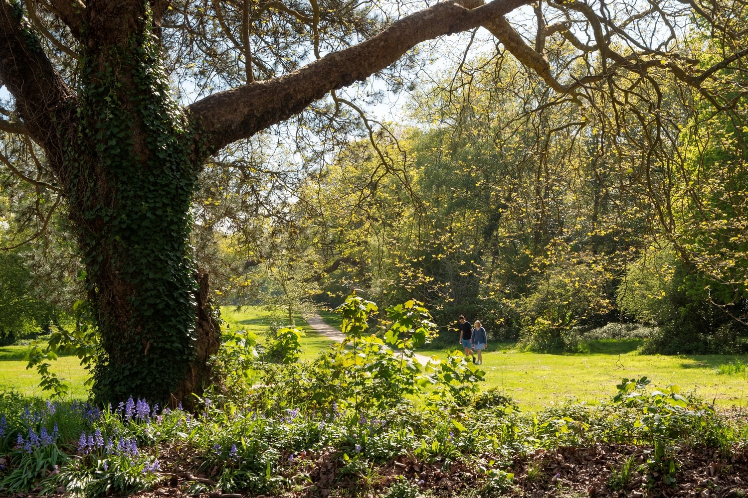 A retored couple walking in a park in Boorley Green, Hampshire