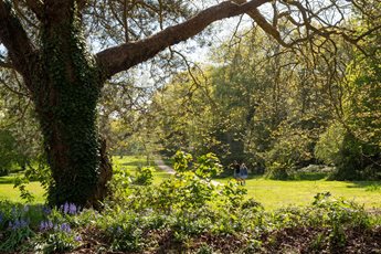 A retored couple walking in a park in Boorley Green, Hampshire