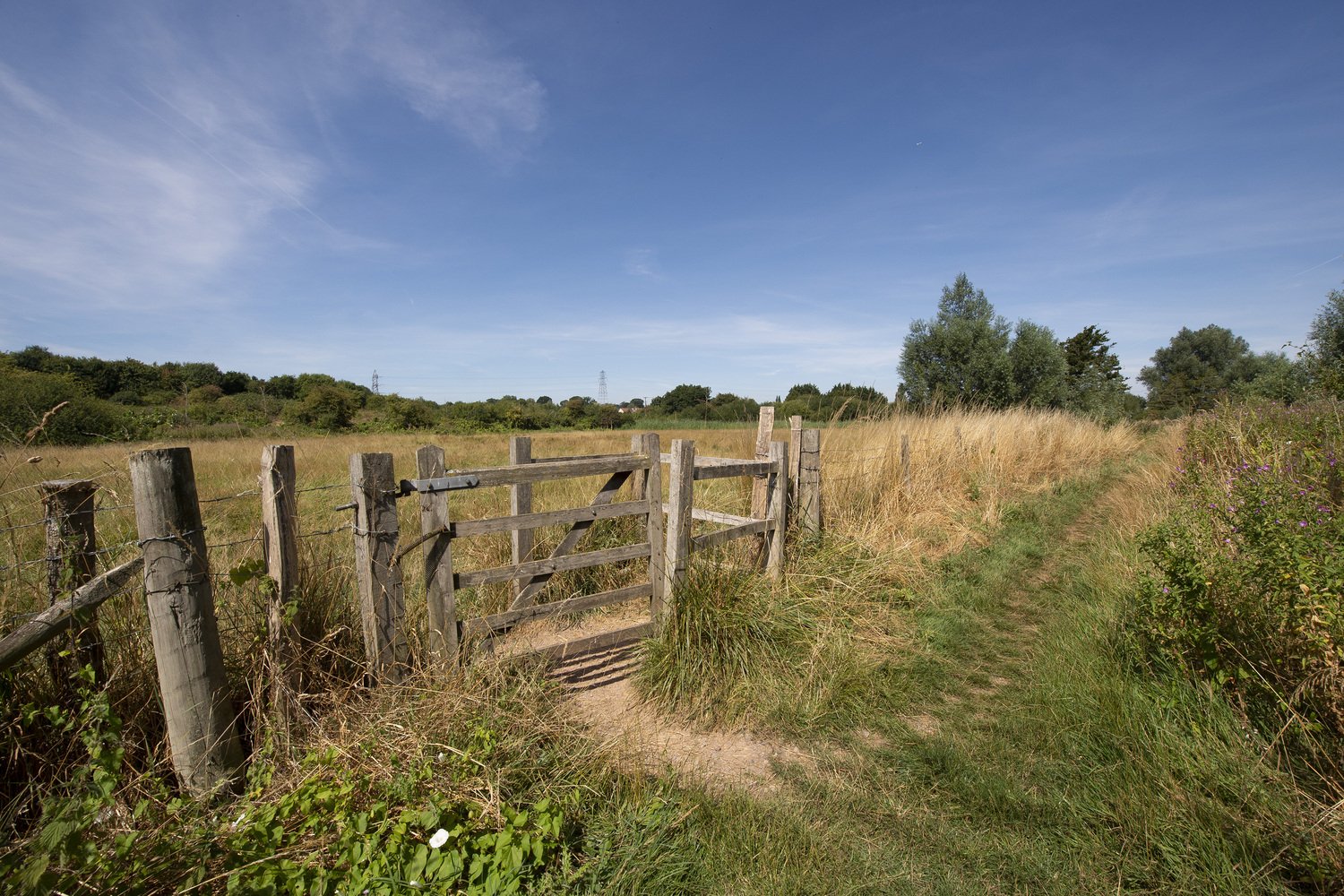 View of the countryside in Hook, Hampshire.