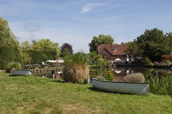 Canal path and greenery in areas surrounding Hook, Hampshire.