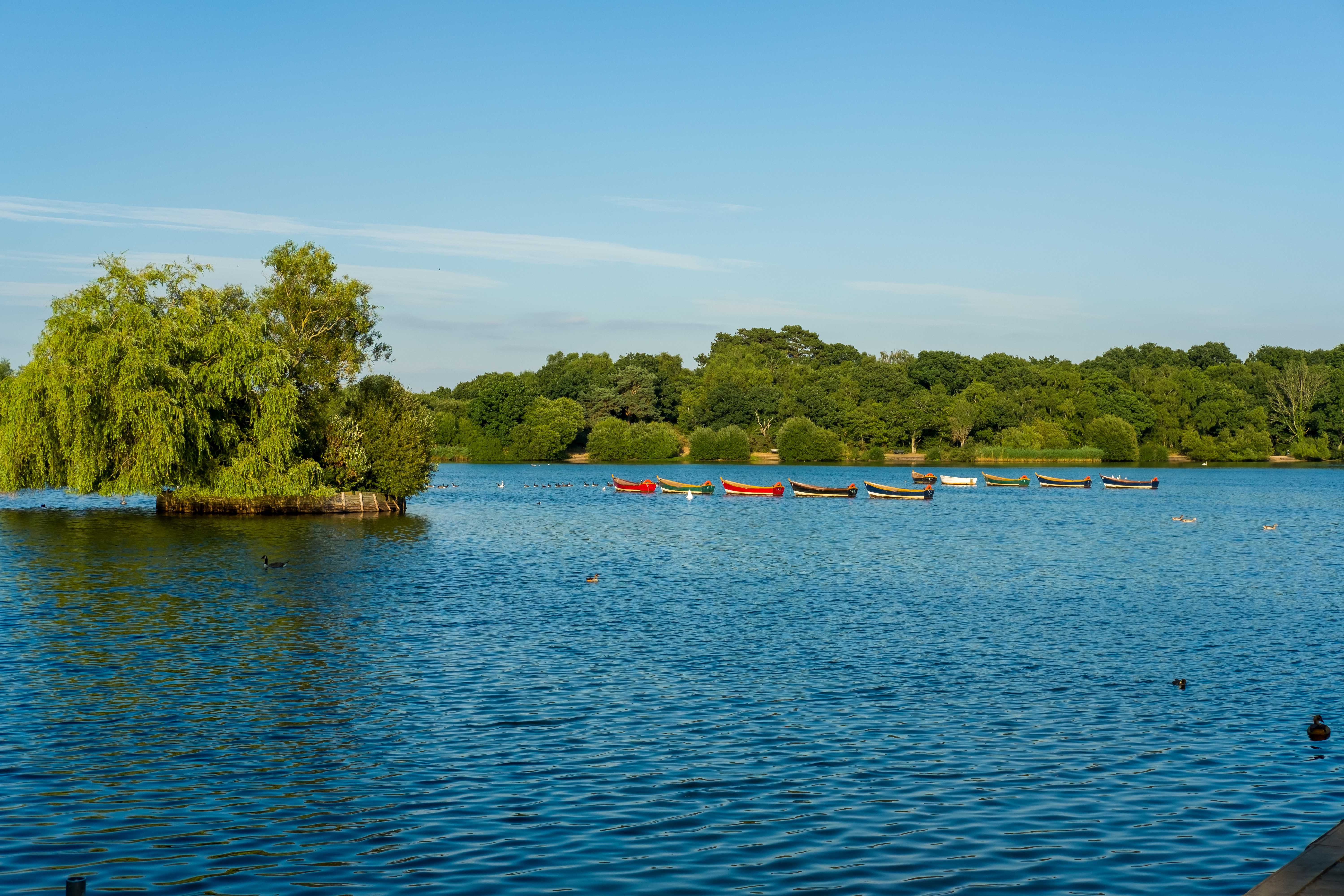 Petersfield Pond Walk in Hampshire.