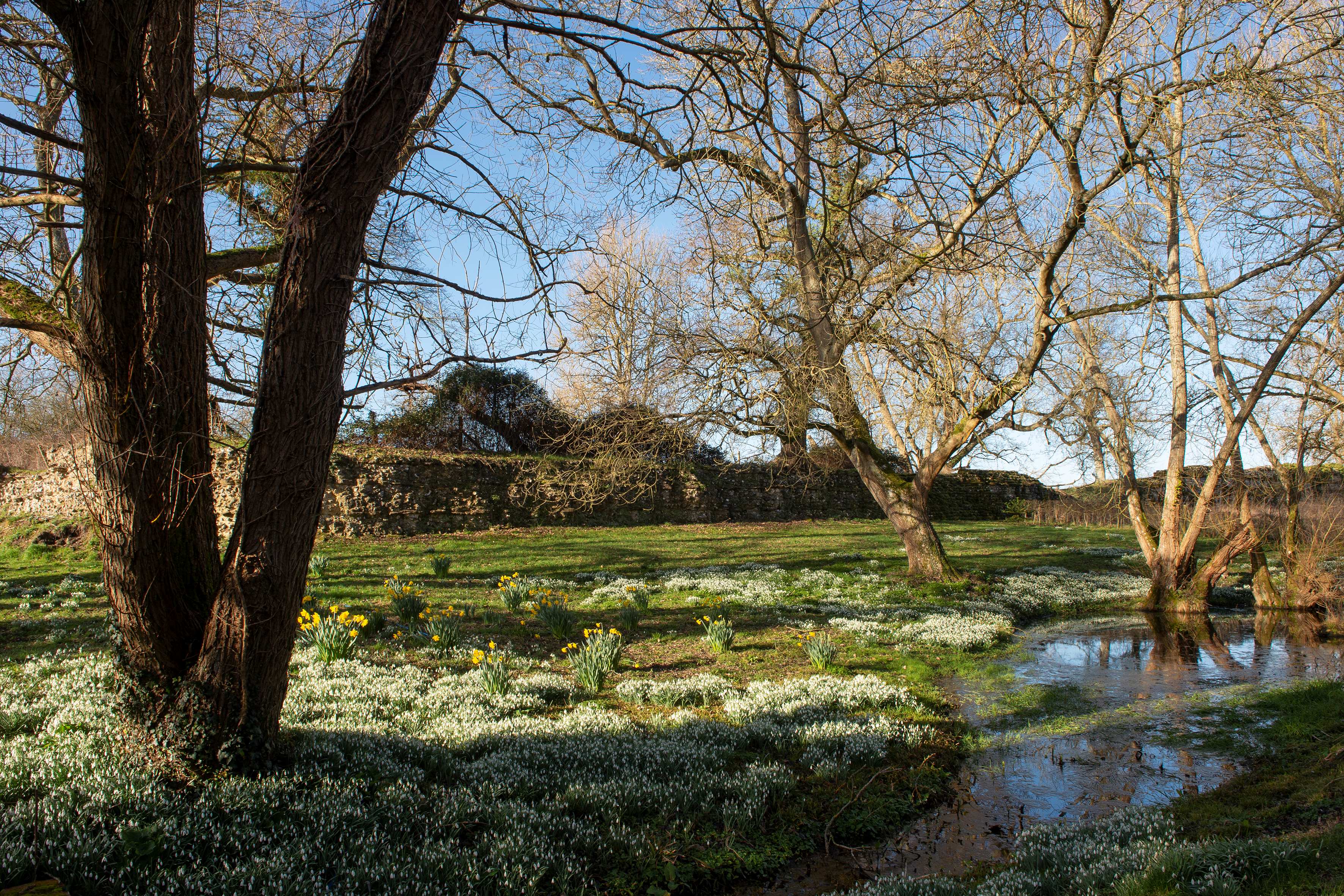Part of the Silchester roman wall, which are some of the best-preserved Roman town defences in England.