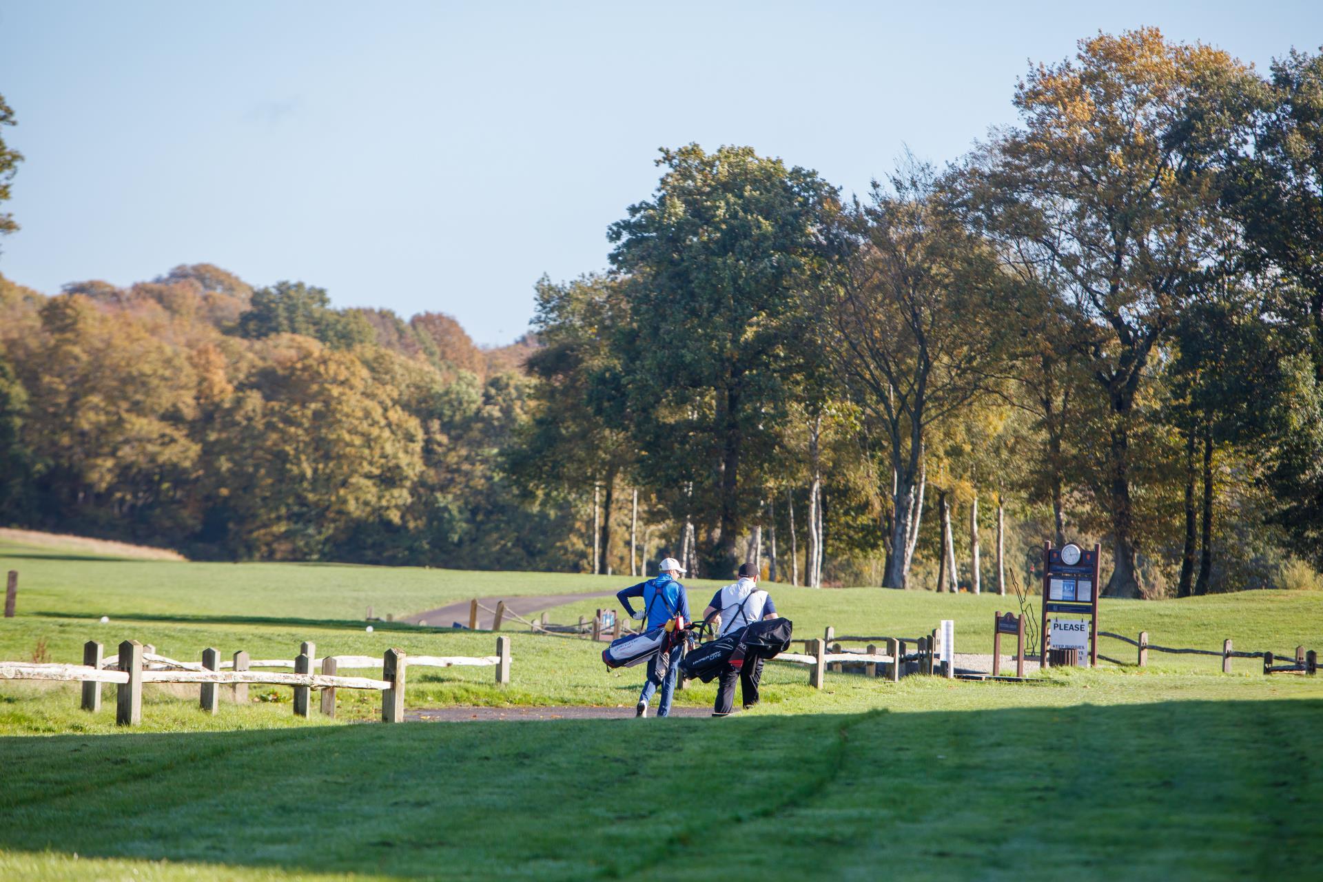 a person riding a horse