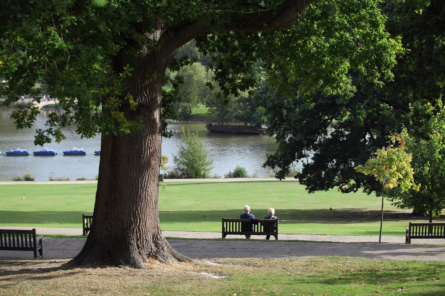 A couple sitting on a bench under a tree in Dunorlan Park, Tunbridge Wells.
