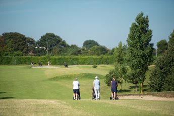 a group of people playing golf