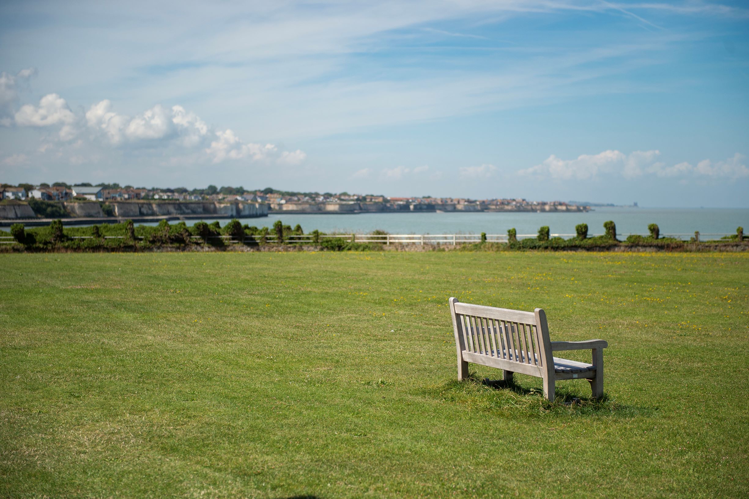 a bench sits in a grassy field