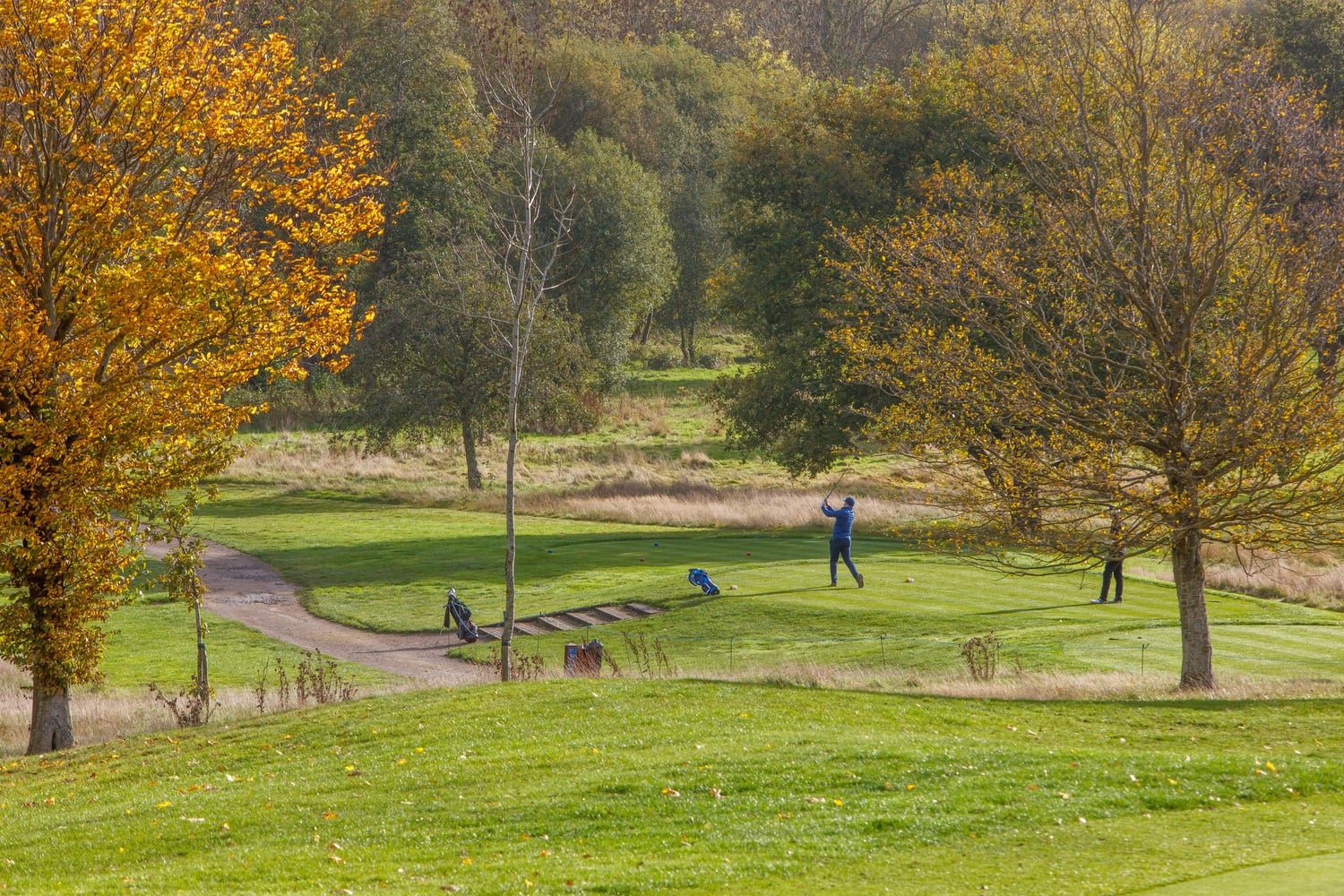 Golfers enjoying a round of golf at Windlesham Golf Course.