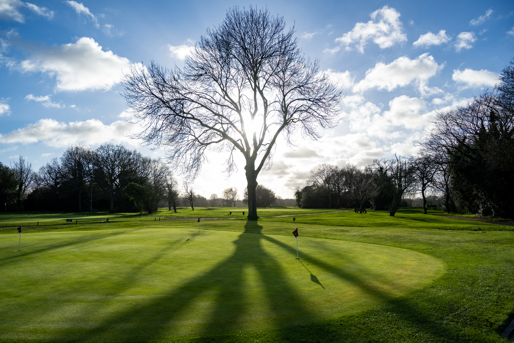 a golf course with trees and blue sky